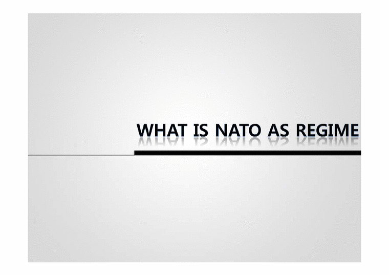 북대서양조약기구(NATO)의 현황과 전망(영문)-1페이지