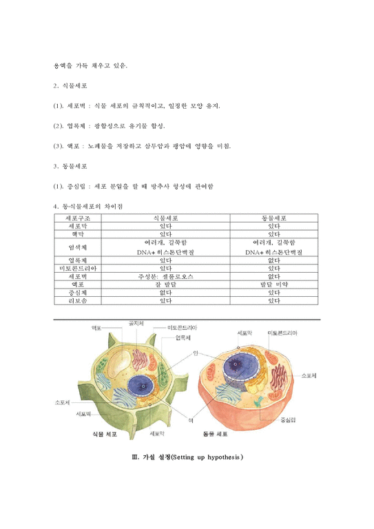 생물학 실험 - 동물세포와 식물세포 관찰 현미경의 종류 구조 기능 및 세포의 길이 측정 - 자연/공학
