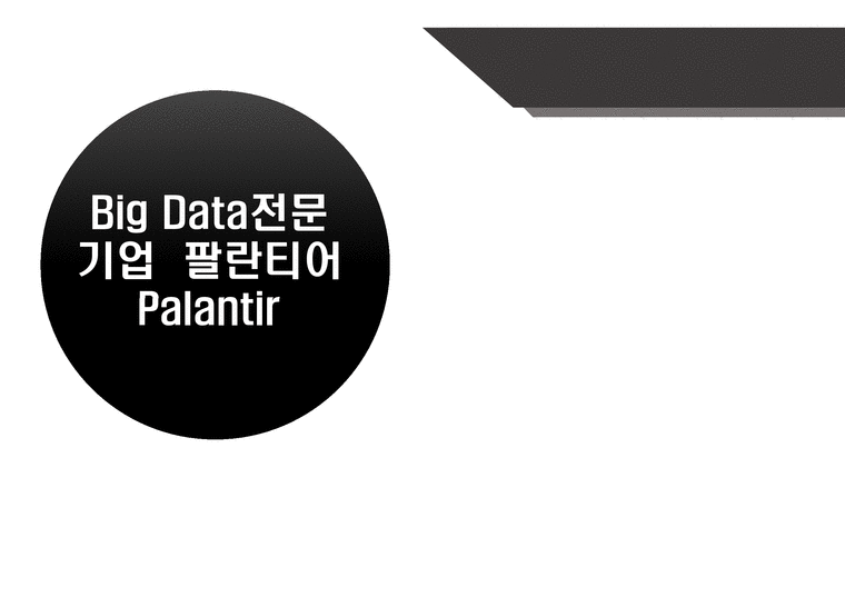 Big Data전문 기업 팔란티어 Palantir-1페이지