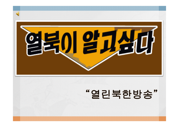 열린북한방송 레포트-1페이지