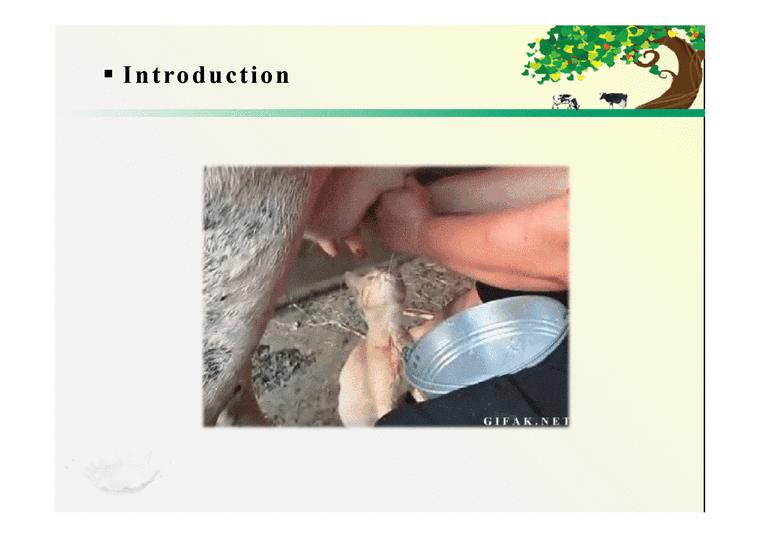 논문연구`Physicochemical Properties of Reconstituted Milk Made from Freeze