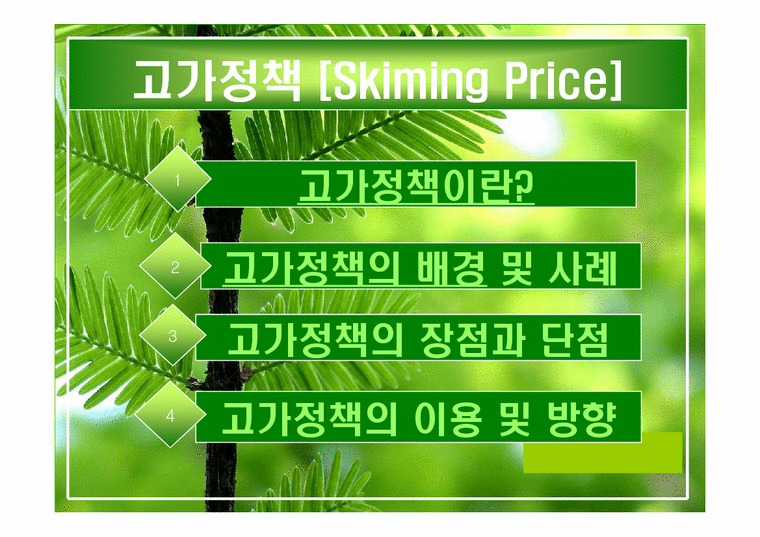 경영학  고가정책(skiming price)-2페이지
