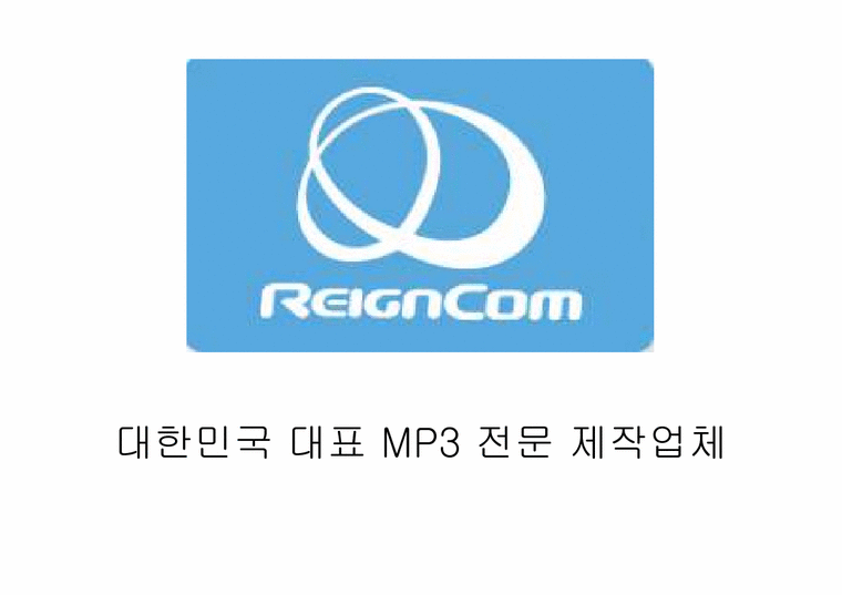 경영학  MP3 전문 제작업체 레인콤 분석-2페이지