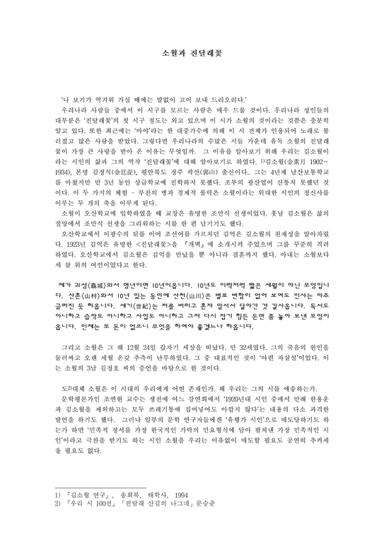 인문과학 소월과 진달래꽃-1페이지
