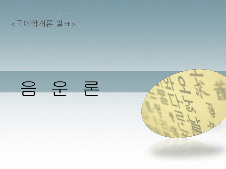 국어학개론 음운론 음운단위 음운현상 음운변동 음운변화 - 인문/교육