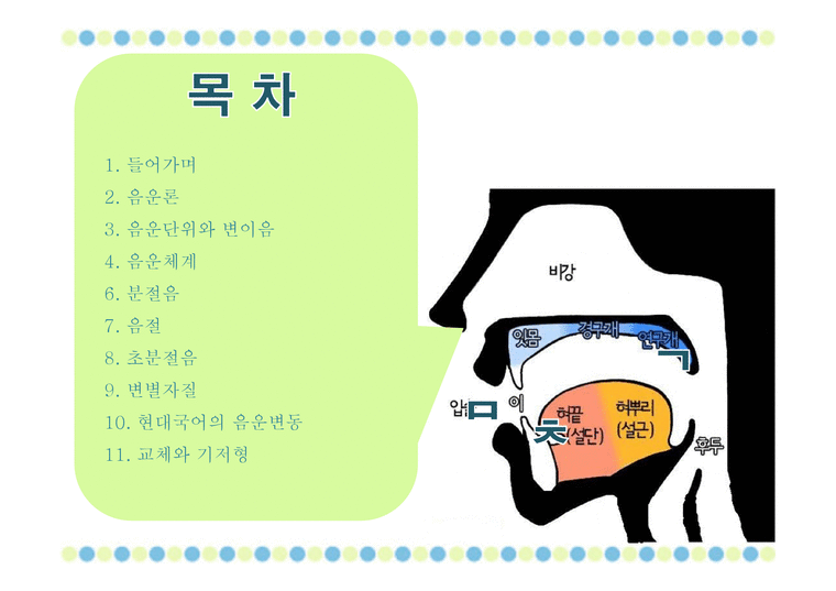 국어학개론 음운론 음운단위 변이음 음운체계 분절음 음절 초분절음 변별자 - 인문/교육