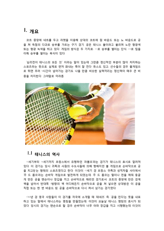 라켓 스포츠 테니스-2페이지