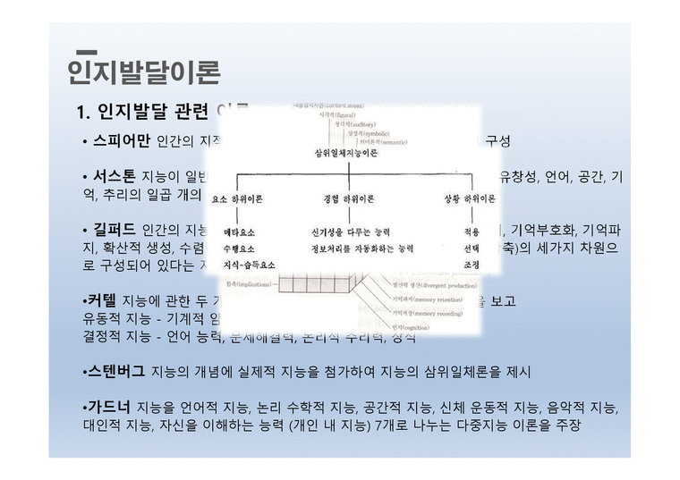 인지이론 - 인지 및 그 발달 관련 이론 - 인문/교육
