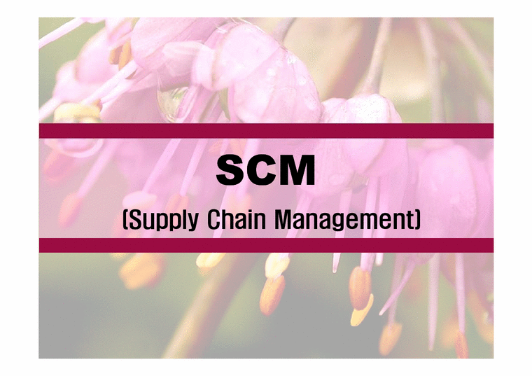 경영정보시스템  scm 분석-1페이지