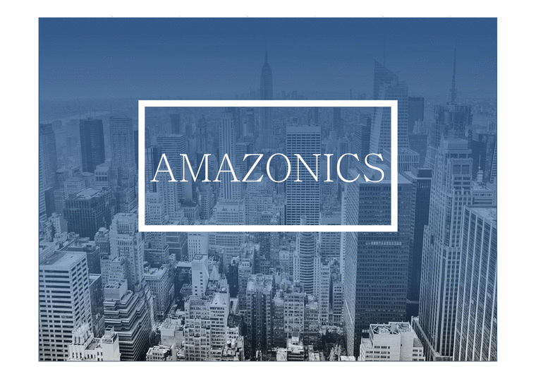 AMAZONICS기업분석-1페이지