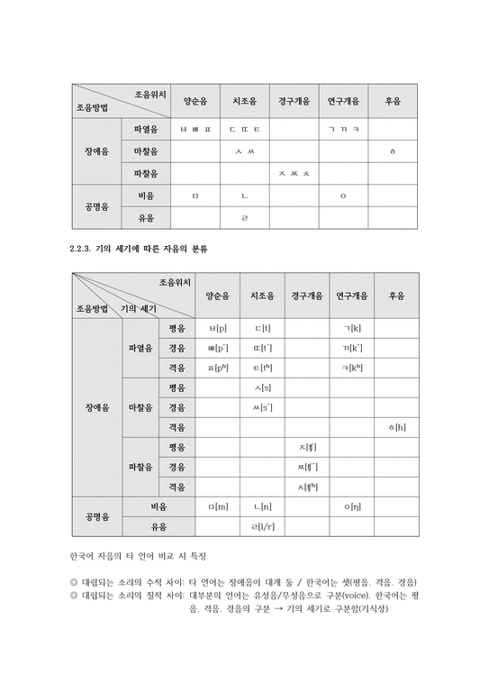한국어 음운 교육론 자음 - 인문/교육