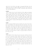 한국 T-Commerce의 산업적 가능성에 대한 분석-11페이지