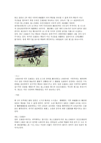 동아시아에 있어 중국과 일본의 중요성과 두 국가의 해군 역 증강-8페이지