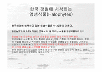 한국의 갯벌 빼어난 경관과 풍부한 갯벌 생태계 오천 년의 역사를 자랑하는 한국의 갯벌 분류 저서동물 염생식물-14페이지