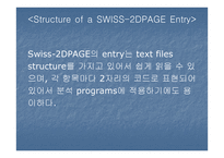 SWISSDPAGE Database 레포트-11페이지