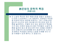 한국문학과 이해 - 임철우 작가의 붉은방-9페이지