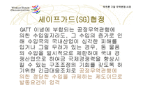 한국-EC간 혼합분유 세이프가드 관련분쟁-5페이지