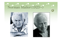 미문학사  J.D.Salinger and Norman Mailer-13페이지