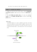 마케팅  LG DMB폰의 마케팅 전략 방안-19페이지