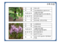 한국 도로공사 수목원1-6페이지