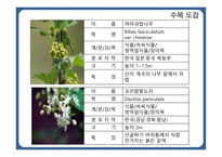 한국 도로공사 수목원1-8페이지