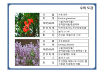 한국 도로공사 수목원1-15페이지