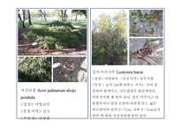 한국 도로 공사 수목원 2-13페이지