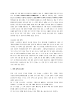 중국정치외교론  중국소수민족정책-14페이지