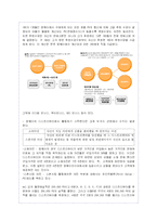 암웨이의 네트워크 마케팅(다단계 판매) 경영방식과 문제점 분석-12페이지