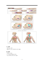 유방의 구조와 유방암 단계 및 진단기준-4페이지