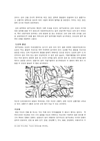 과학기술사  김정호의 대동여지도에 대해서-12페이지