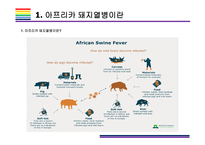 돼지열병 개념  증상  문제와 해결방법  돼지열병 ASF 돼지 아프리카 돼지열병 멧돼지-5페이지
