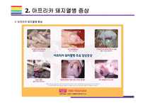 돼지열병 개념  증상  문제와 해결방법  돼지열병 ASF 돼지 아프리카 돼지열병 멧돼지-8페이지