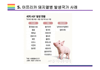 돼지열병 개념  증상  문제와 해결방법  돼지열병 ASF 돼지 아프리카 돼지열병 멧돼지-20페이지