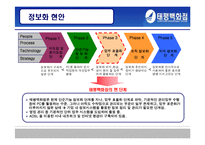 경영정보시스템  mis  태평백화점의 정보화 현황 분석-12페이지