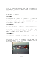 경영전략  저가항공사의 성공사례- 이지젯의 경영전략-11페이지
