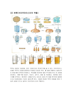 세계 무형 문화유산  독일의 맥주장인  브라우마이스터  `옥토버페스트`-6페이지