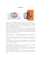좌뇌우뇌기능 - 사회과학