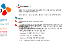 CJ오쇼핑 기업분석 CJ오쇼핑 경영전략사례 CJ오쇼핑 브랜드마케팅 CJ오쇼핑 서비스마케팅 글로벌경영 사례분석 swot stp 4p-5페이지