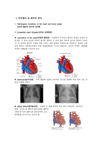 해부학 A+  심혈 관계(Cardiovascular System) 용어 정의 및 분석-7페이지