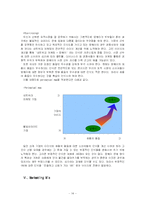 마케팅전략  한국암웨이 기업 분석과 마케팅 전략-14페이지