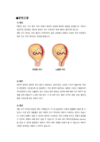 태반 조기 박리 문헌고찰 - 의약학
