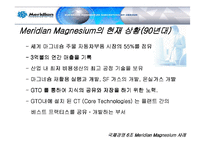 국제경영  메리디안 Meridian Magnesium 사례 분석-7페이지