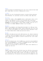 식품영양 김치(Kimchi)란 무엇이며 김치가 사람에게 주는 영향-11페이지