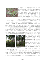 산림생태학  안면도 해안림의 생태적 특성-8페이지