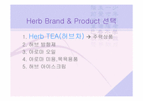 마케팅전략  허브(Herb) 제품을 대중화 하기 위한 마케팅전략-10페이지