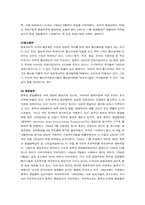 경제통합론  동북아 경제협력체-13페이지