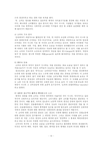 대중사회론 상품미학과 소비의 사회 요약-13페이지