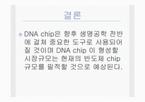 생명공학  DNA chip-12페이지