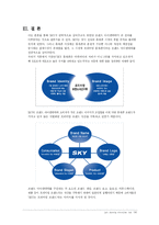 브랜드마케팅 SKY핸드폰의 프리미엄 이미지 구축 사례조사(A+리포트)-16페이지